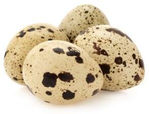 Objektet e quails për të rritur fuqinë